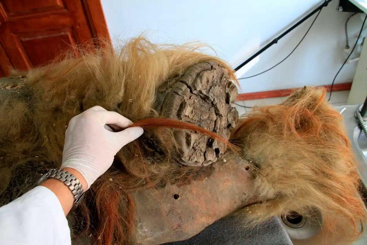 Древнейшая РНК из мамонтенка Юка: новое открытие палеобиологов