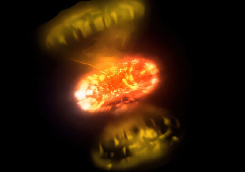 Астрономы впервые получили прямые снимки взрывов классических новых