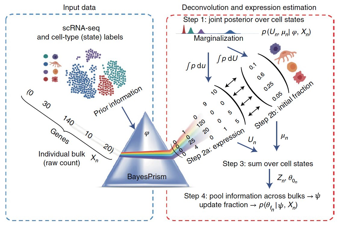 Метод разделения клеточных смесей: новая аналогия и иллюстрация